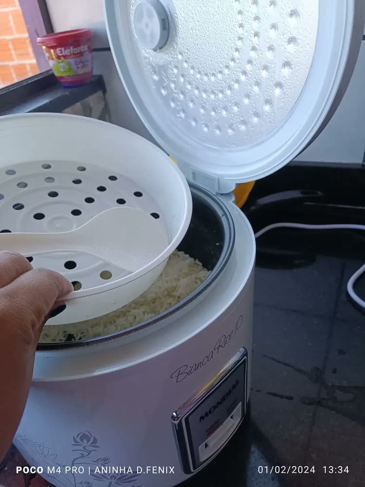 foto de Panela Elétrica Bianca Rice 10 Mondial 700W - PE-10