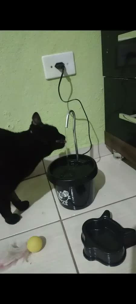 foto de Bebedouro Gato - Fonte Gato + Brinde Comedouro
