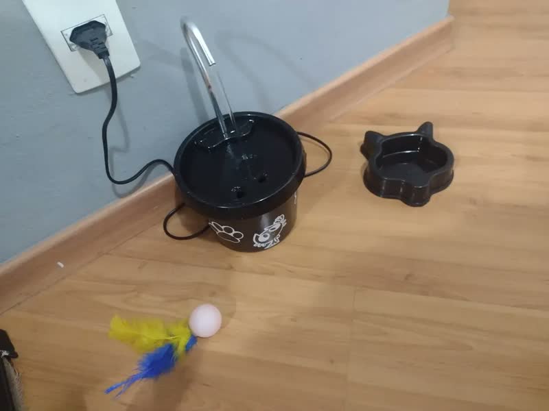 foto de Bebedouro Gato - Fonte Gato + Brinde Comedouro