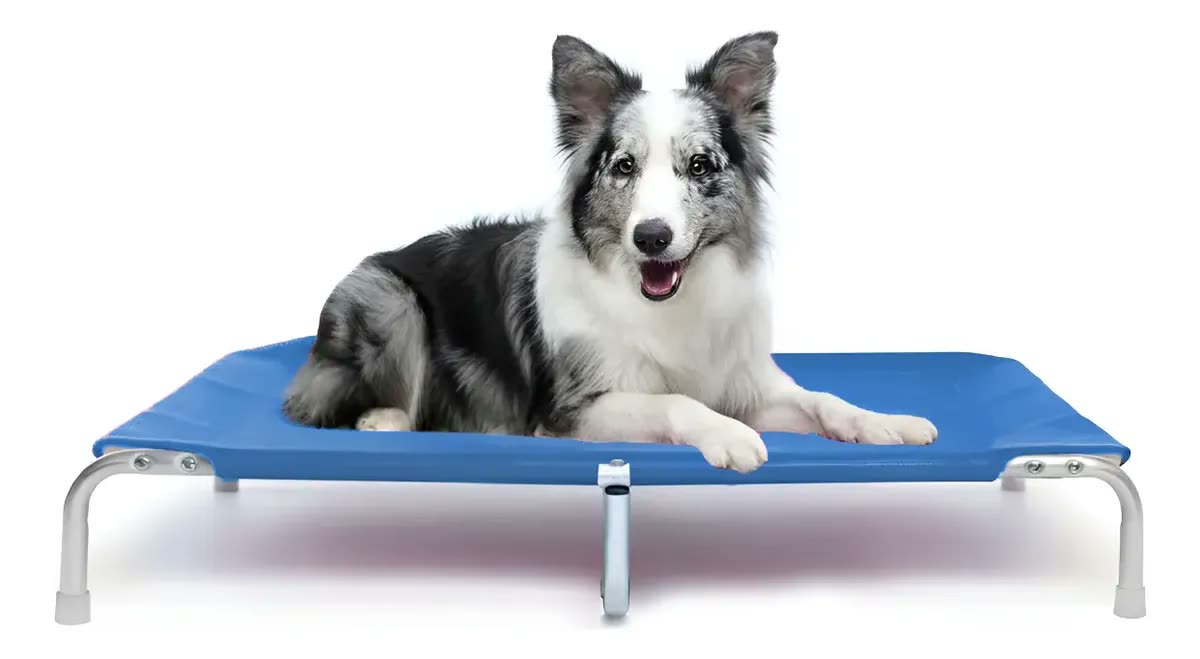Cama Para Cachorro Grande Suspensa Cama Pet 90x60cm Dogets