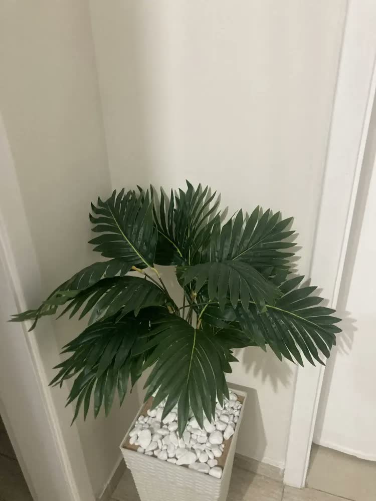 foto de Planta Artificial Palmeira Grande Sala Decoracao Com Vaso