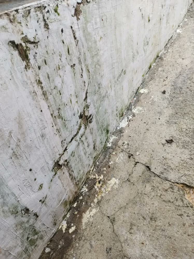 foto de Lavadora de Alta Pressão WAP Ousada Plus 2200 1500W de Potência 1750 PSI