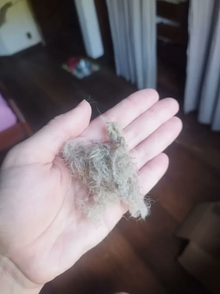 foto de Noviça Sekito mop com cabo para absorção