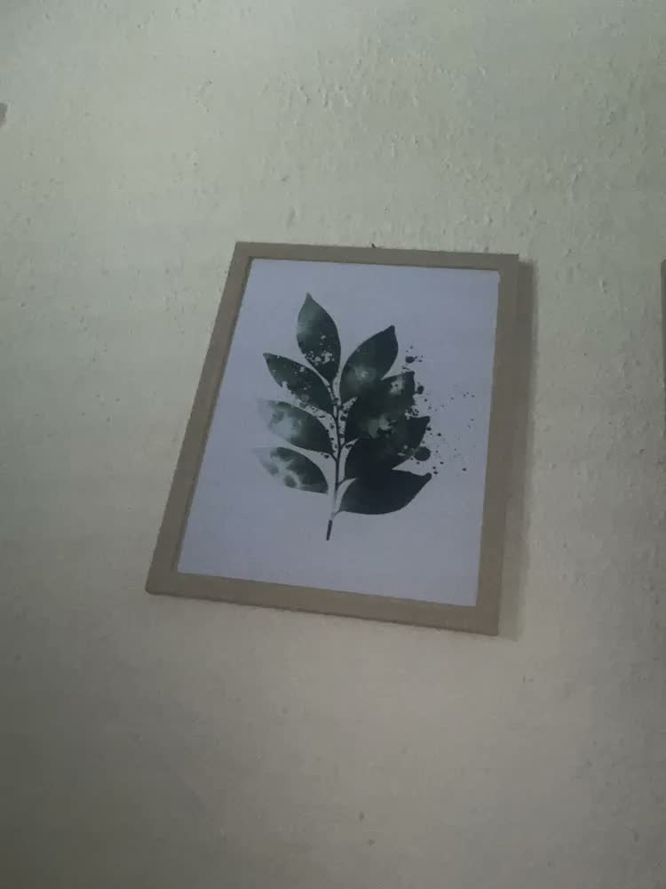 foto de Quadro Decorativo Folhas Botânico Minimalista Costela Adão