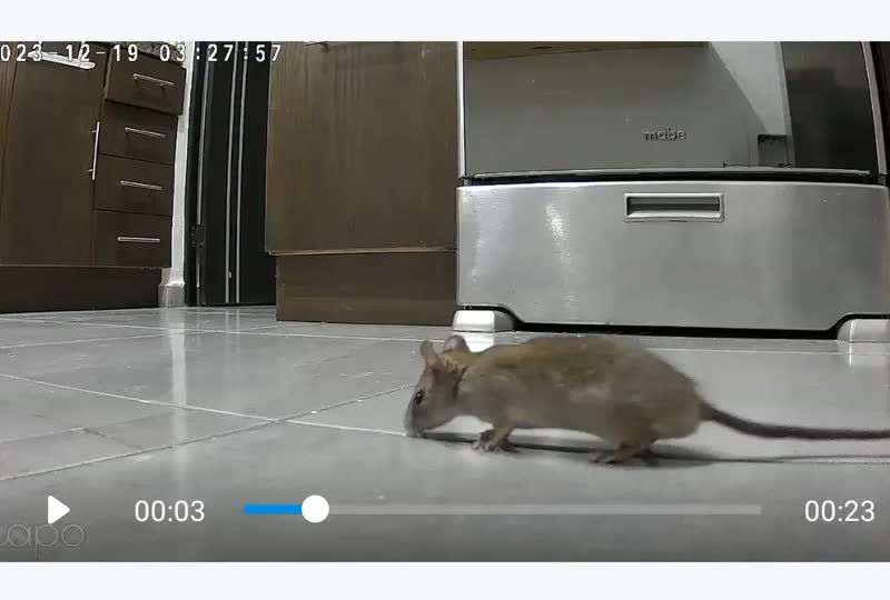 foto de TP-Link Tapo C200 Câmera de Segurança Wifi 1080P 360° Pan/Tilt
