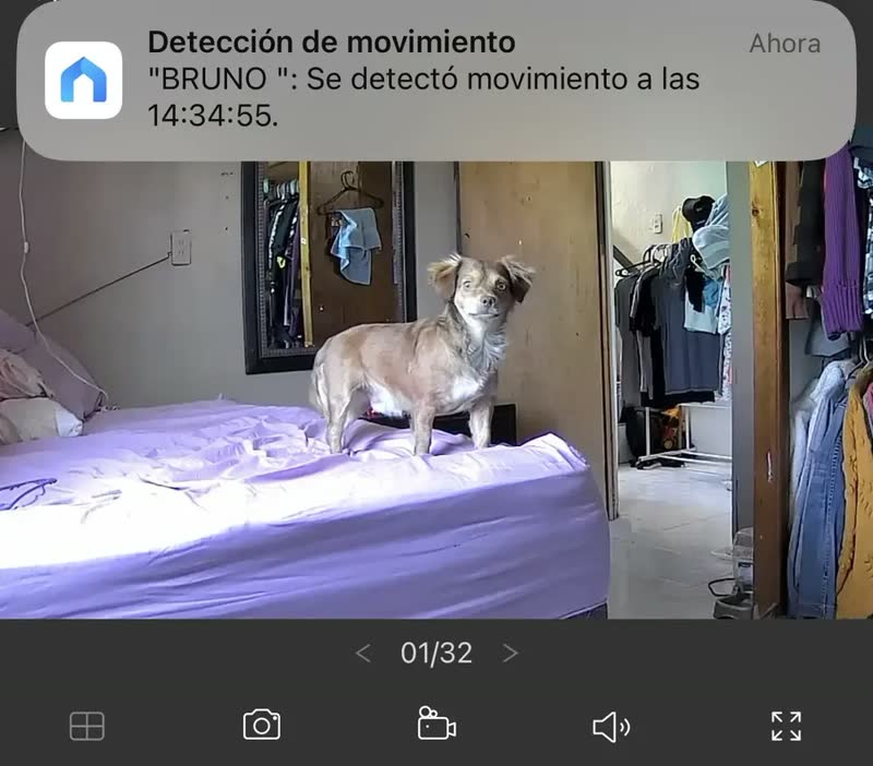 foto de TP-Link Tapo C200 Câmera de Segurança Wifi 1080P 360° Pan/Tilt