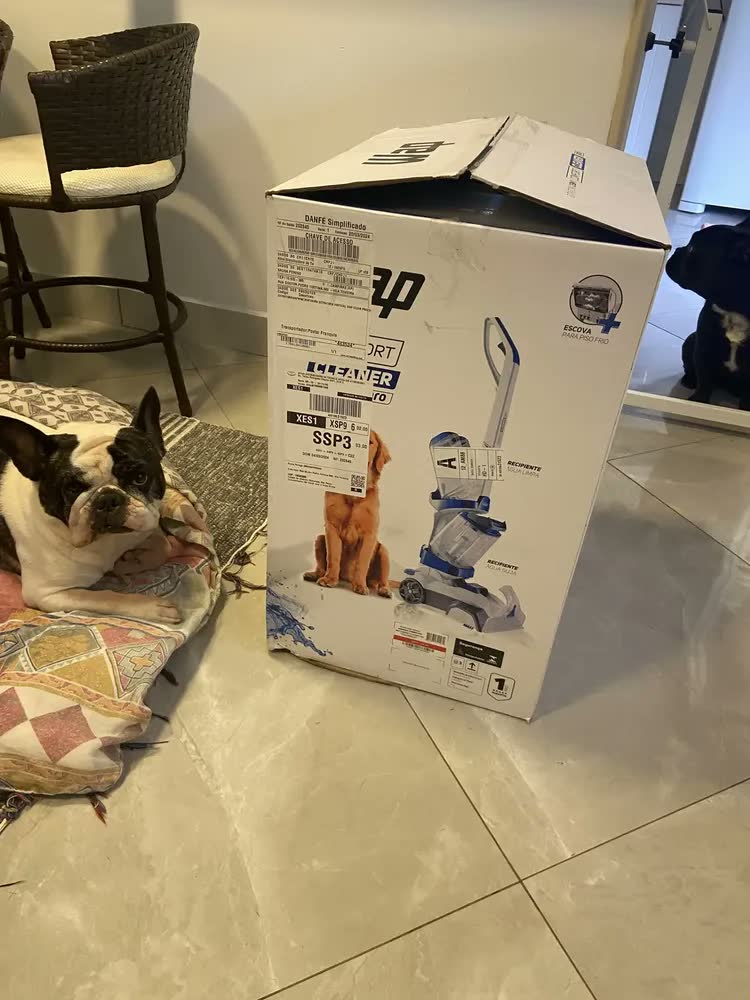 foto de Extratora E Higienizadora Vertical Comfort Cleaner Pro 2000w Wap