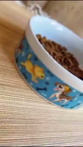 vídeo do produto