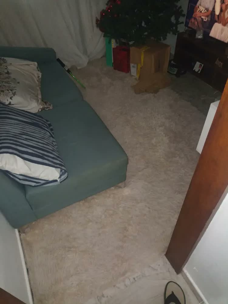 foto de Tapete Manhattan Belga 3x2m Sala Longo Poliéster