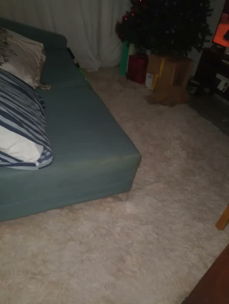 foto de Tapete Manhattan Belga 3x2m Sala Longo Poliéster