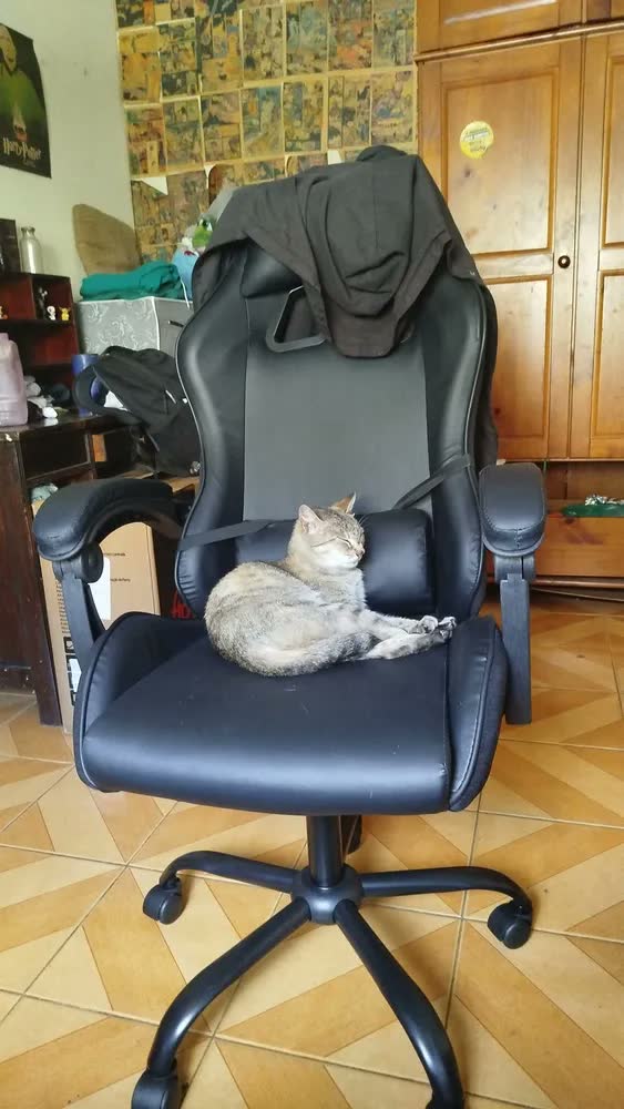 foto de Cadeira de escritório TGT Heron TGT-HR gamer preta com estofado de couro sintético