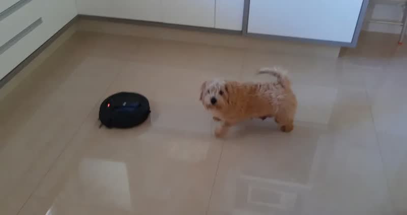 foto de Robô aspirador Robot W90 varre aspira e passa pano 30w Wap cor preto