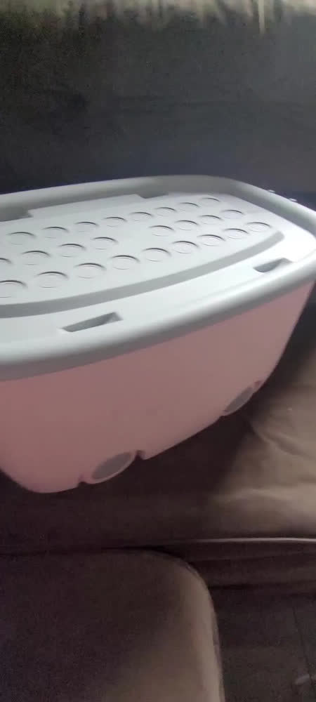 foto de Caixa Organizadora De Brinquedos Pequenos Defeitos 50 Litros