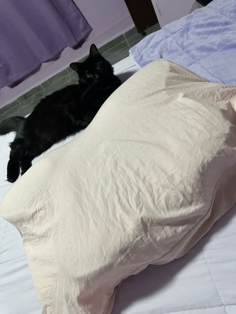 foto de Travesseiro Ergonômico De Espuma Viscoelástica Para Cervical