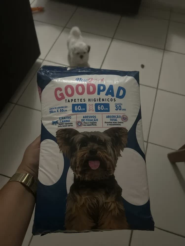 foto de Tapete Higiênico Premium Pet 30un 60x60cm Alta Absorção Cães Branco