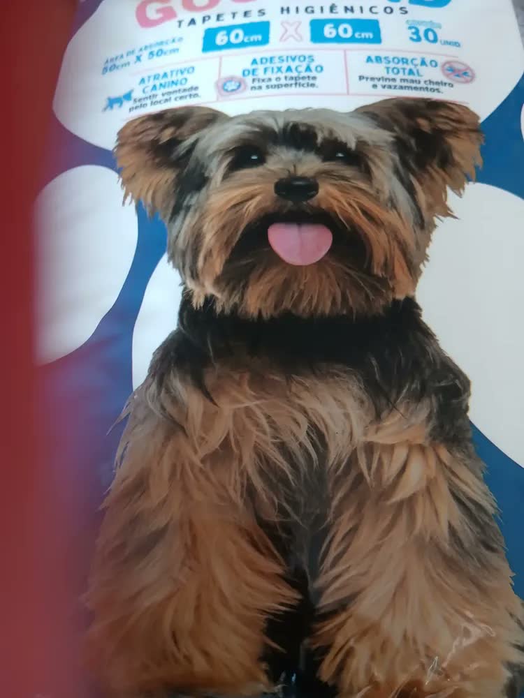 foto de Tapete Higiênico Premium Pet 30un 60x60cm Alta Absorção Cães Branco