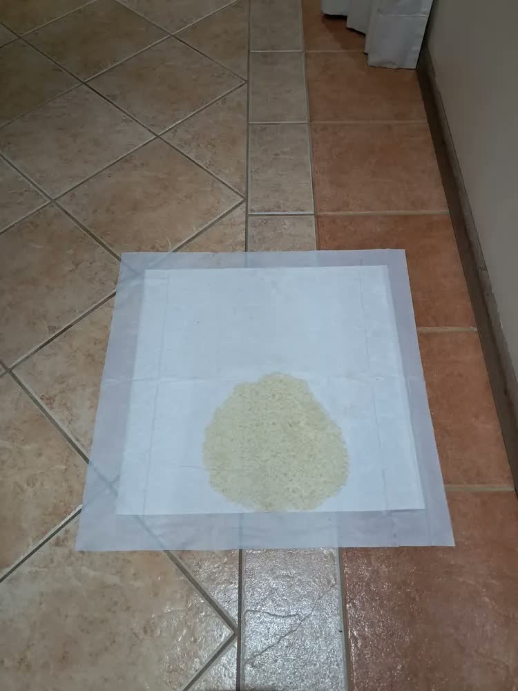foto de Tapete Higiênico Premium Pet 30un 60x60cm Alta Absorção Cães Branco
