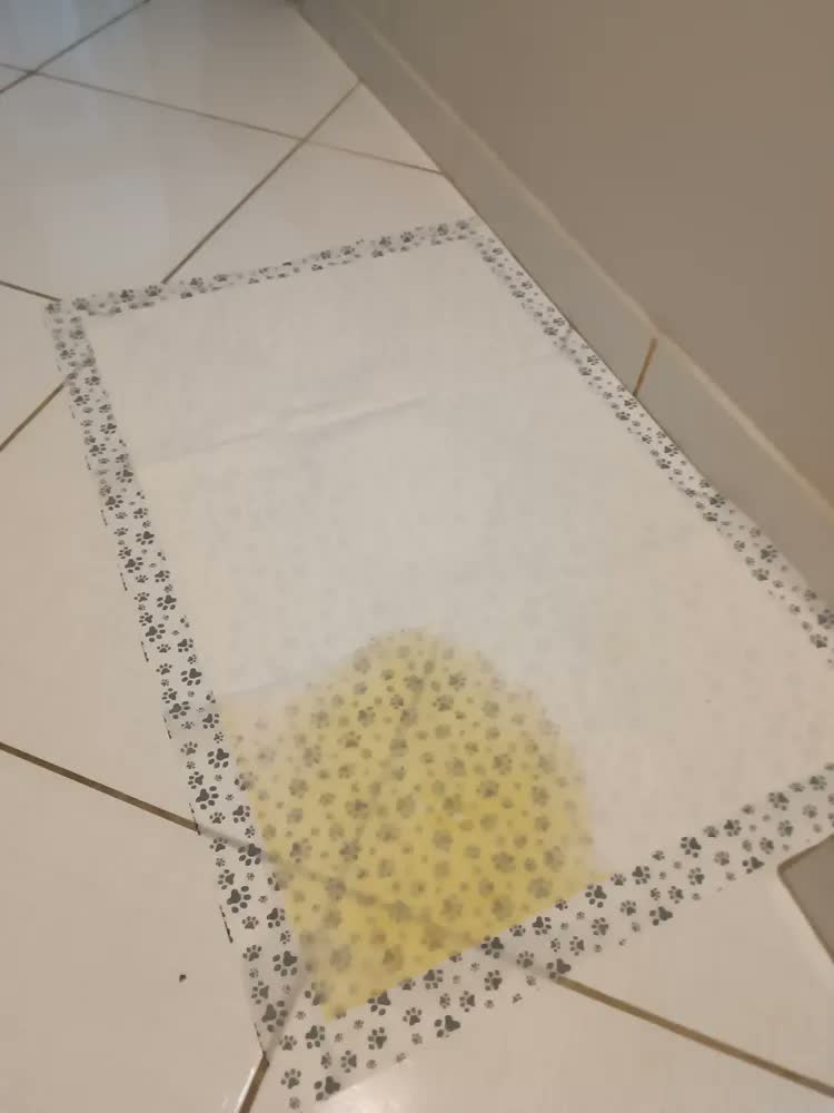 foto de Tapete Higiênico Sanitário Cães 30un 90x60 Econopad Branco Branco