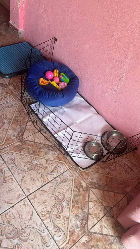 foto de Kit 3 Tapete Higiênico Lavável Cães Cachorro Xixi Grande Dog Tapete Pet Branco Fácil Visualização Do Xixi Dog, Pode Também Verificar Qualquer Alteração Do Xixi Do Seu Cachorro.