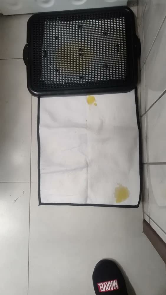 foto de Kit 3 Tapete Higiênico Lavável Cães Cachorro Xixi Grande Dog Tapete Pet Branco Fácil Visualização Do Xixi Dog, Pode Também Verificar Qualquer Alteração Do Xixi Do Seu Cachorro.