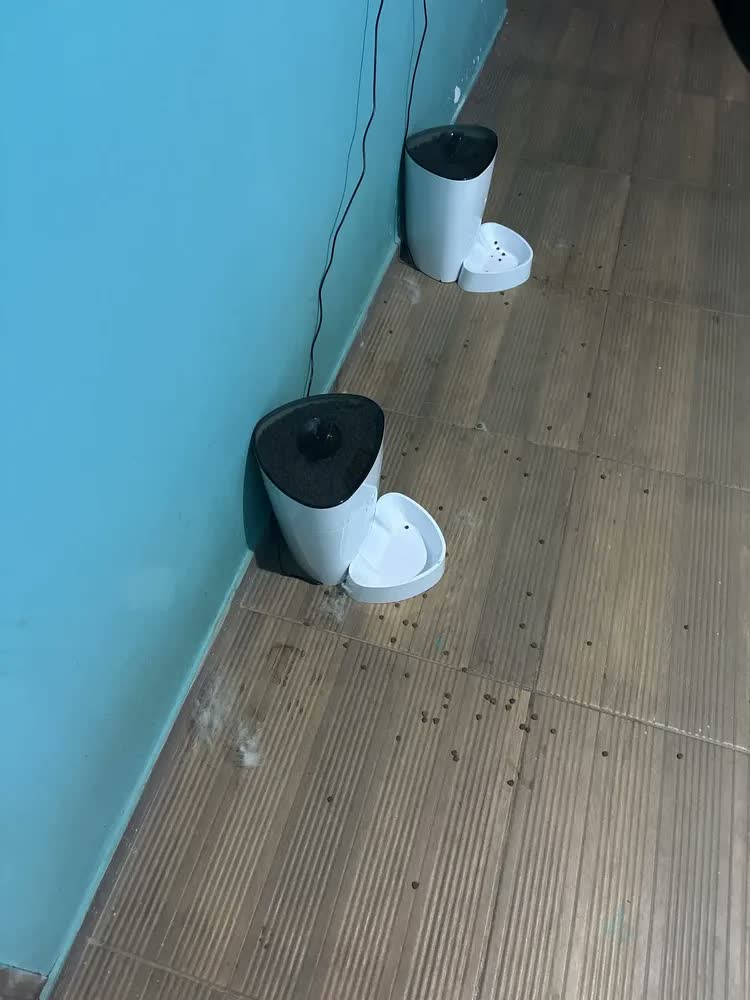 foto de Alimentador Para Caes E Gatos Inteligente Wi-fi Hi By Geonav Cor Branco