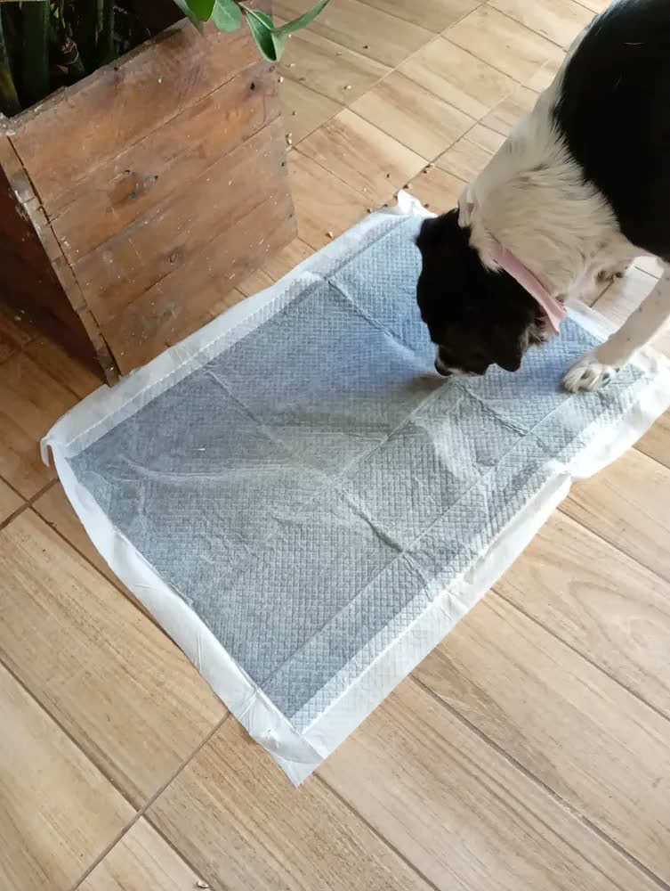 foto de Tapete Higiênico 60x80cm Carvão Ativado Com 30un Soul Pets Cinza
