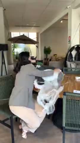 vídeo do produto