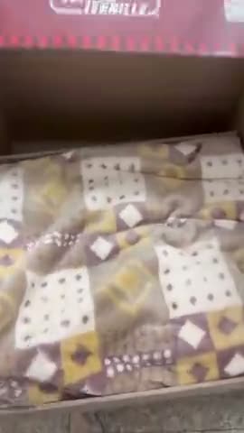 vídeo do produto
