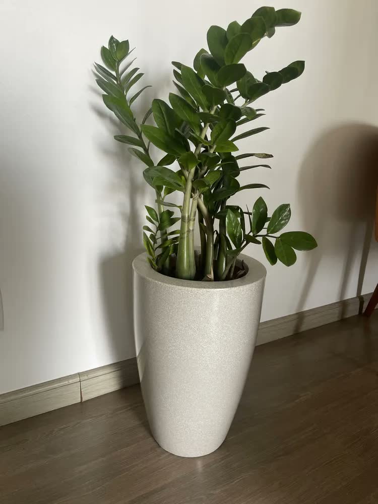foto de Vaso Para Planta Decorativo Grande 45cm Polietileno Cone
