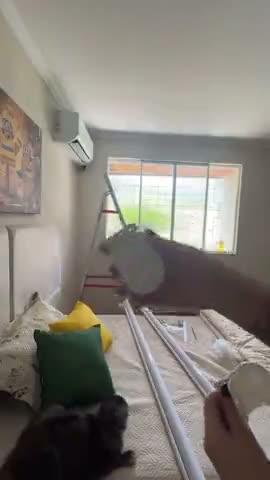 vídeo do produto