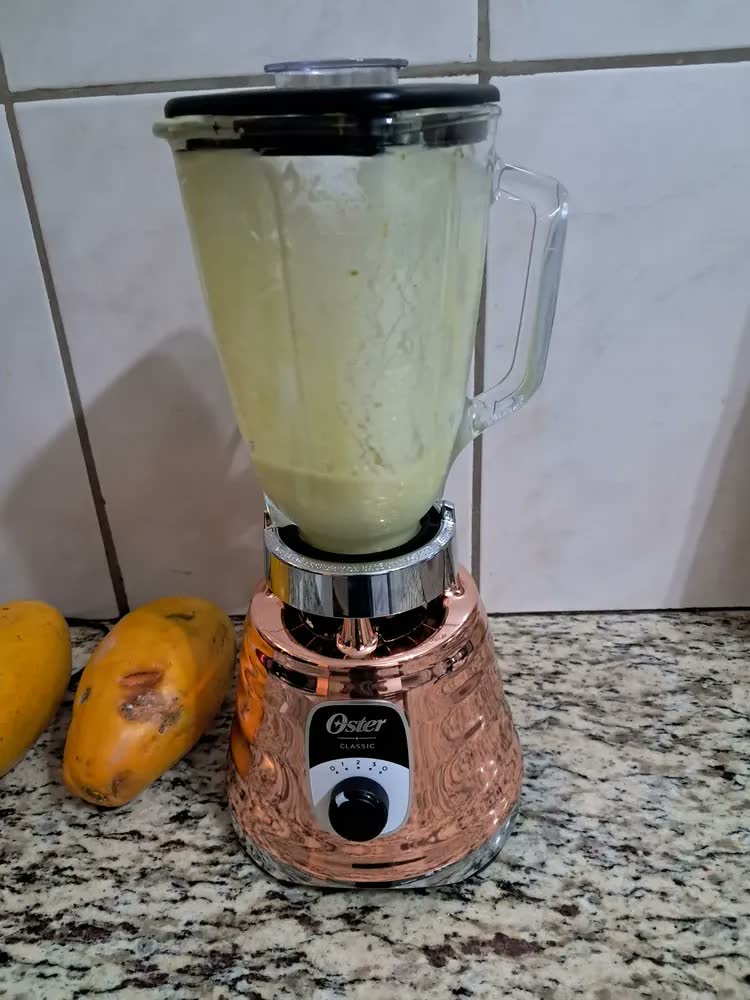foto de Liquidificador New Osterizer Clássico Cobre Oster