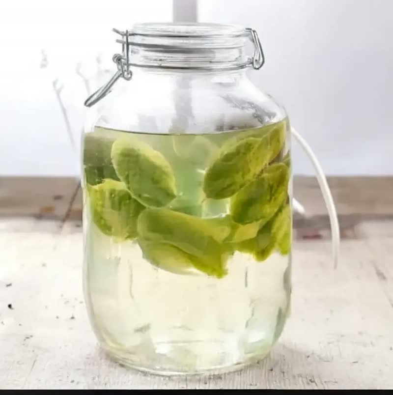 foto de Pote De Vidro Com Tampa Hermético 5 Litros Pepino Conserva