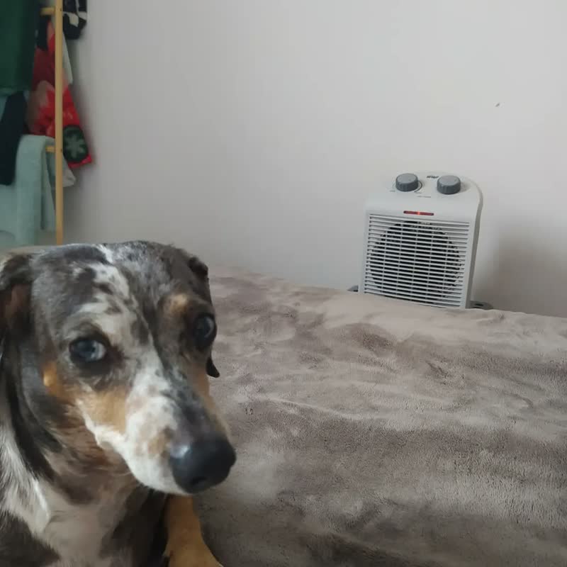 foto de Aquecedor Elétrico Portátil 3 em 1 WAP Air Heat com Ventilador e Triplo Sistema de Segurança