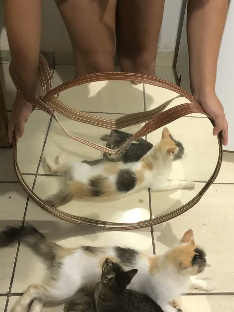 foto de Espelho Redondo Adnet Preto de 60cm para Banheiro, Sala ou Quarto