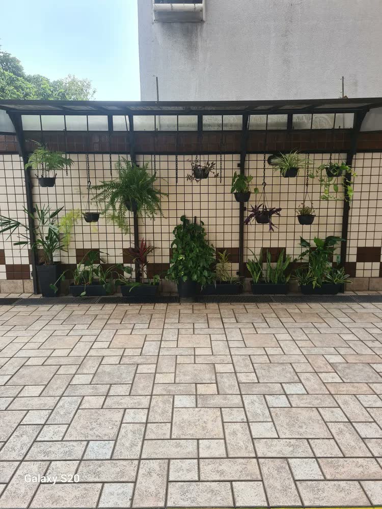 foto de Combo 5 Floreiras P/ Plantas 50cm Grande De Plástico Preta