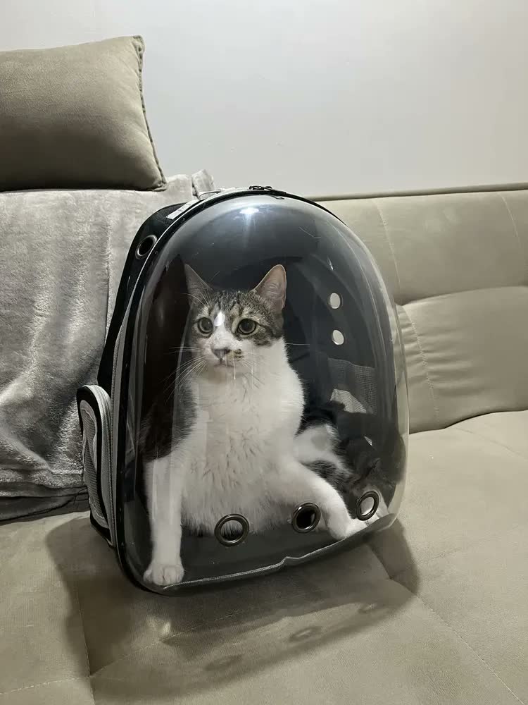 foto de Mochila De Transporte Pet Visão 360 Gato Cão Cor Preta Deko