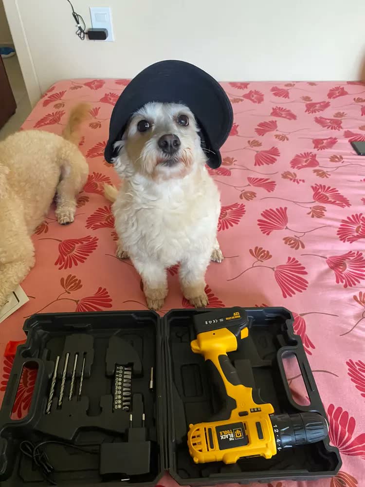 foto de Furadeira Parafusadeira Sem Fio A Bateria Tb-12e 12v