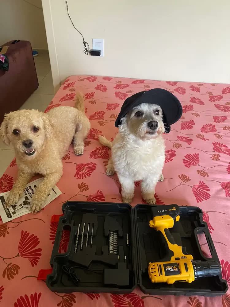 foto de Furadeira Parafusadeira Sem Fio A Bateria Tb-12e 12v