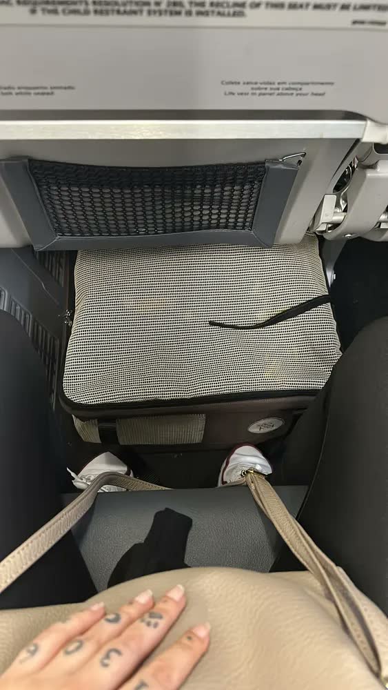 foto de Bolsa Transporte Flexível São Pet Para Viagem Aérea Raças Pequenas e Médias