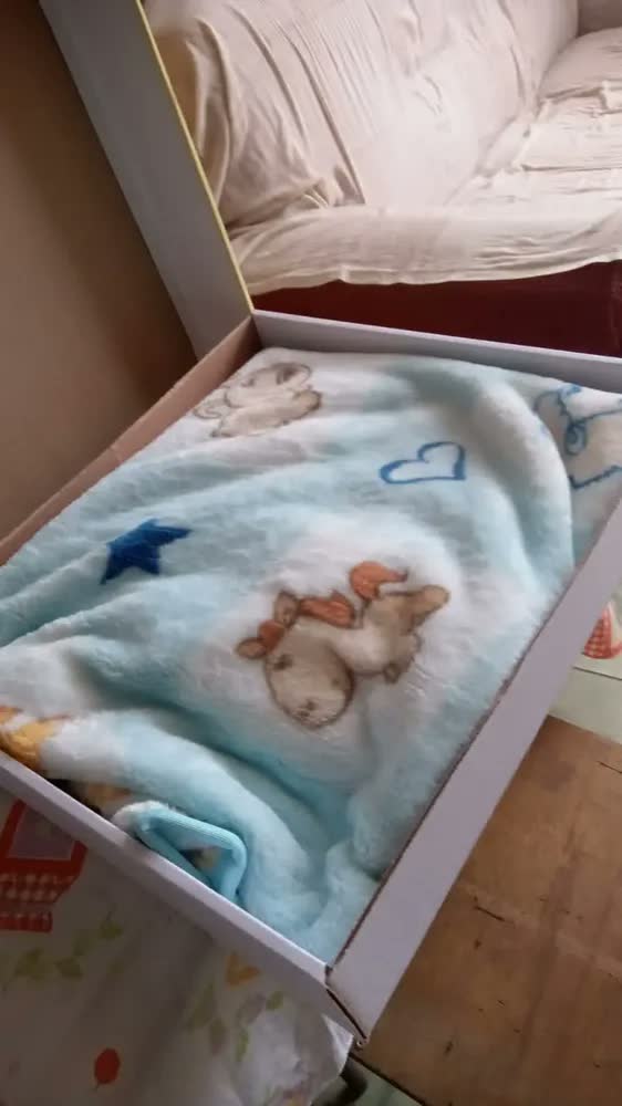 foto de Cobertor Para Bebê Infantil Antialérgico Pelo Alto Jolitex Cor Azul