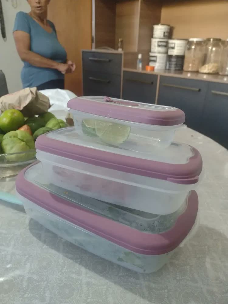 foto de Kit 3 Potes Plásticos Retangulares Herméticos Açaí 430ml, 1,26L e 2,4L