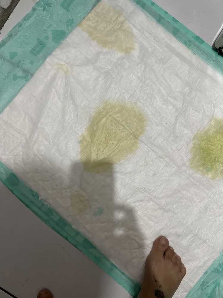 foto de Tapete Higiênico Super Secão Para Cães 30 Unidades Petix