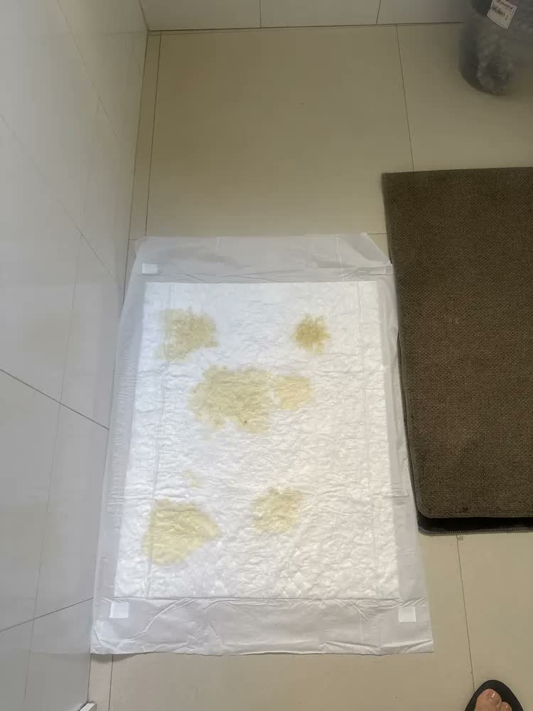 foto de Tapete higiênico Sanol Dog 60x80cm 30 unidades