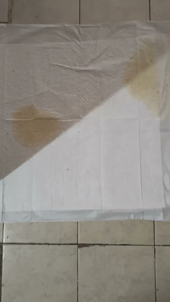 foto de Tapete Higienico Good Pad 60x60 50 Unidades