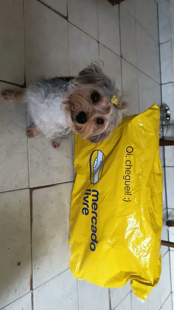 foto de Tapete Higienico Good Pad 60x60 50 Unidades