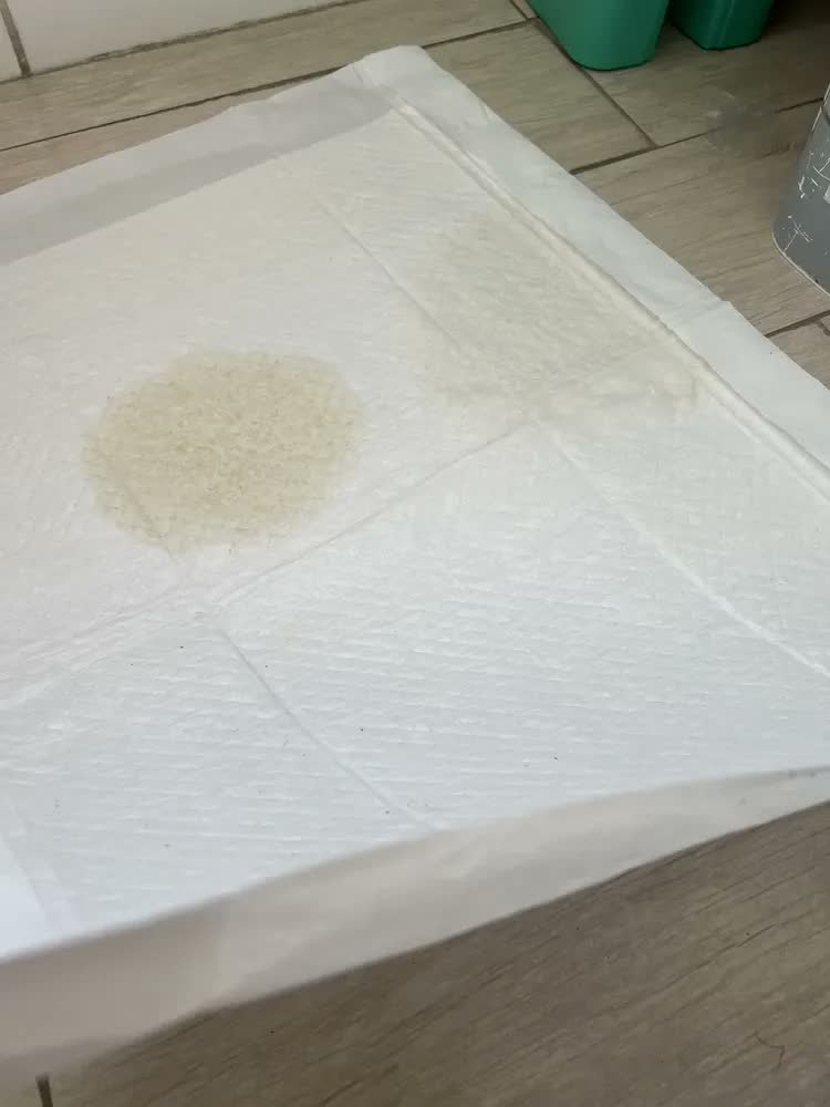 foto de Tapete Higienico Good Pad 60x60 50 Unidades