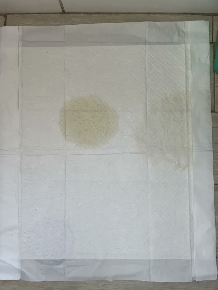 foto de Tapete Higienico Good Pad 60x60 50 Unidades
