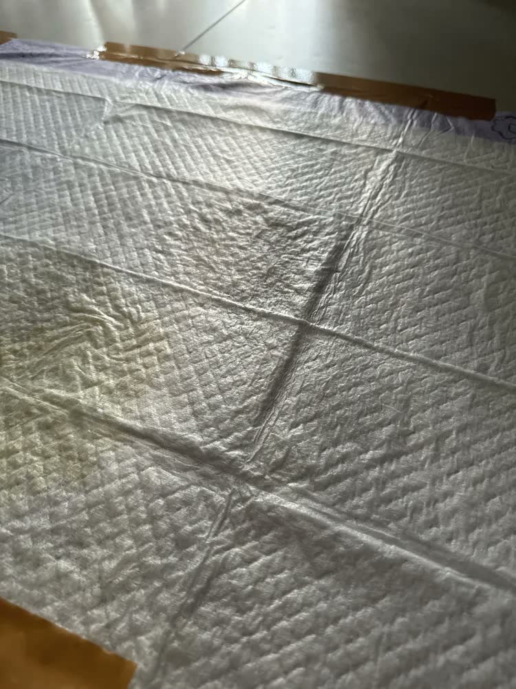 foto de Tapete higiênico para cães ultra pads lavanda 80cm x 60cm Petlike com 30 unidades