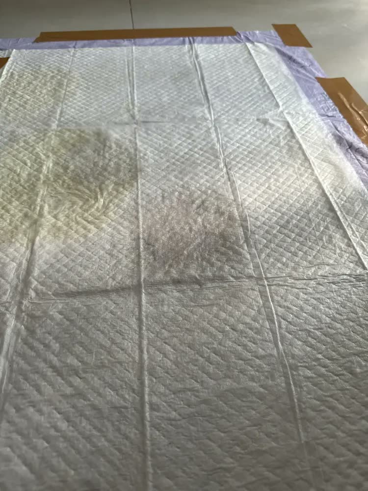 foto de Tapete higiênico para cães ultra pads lavanda 80cm x 60cm Petlike com 30 unidades