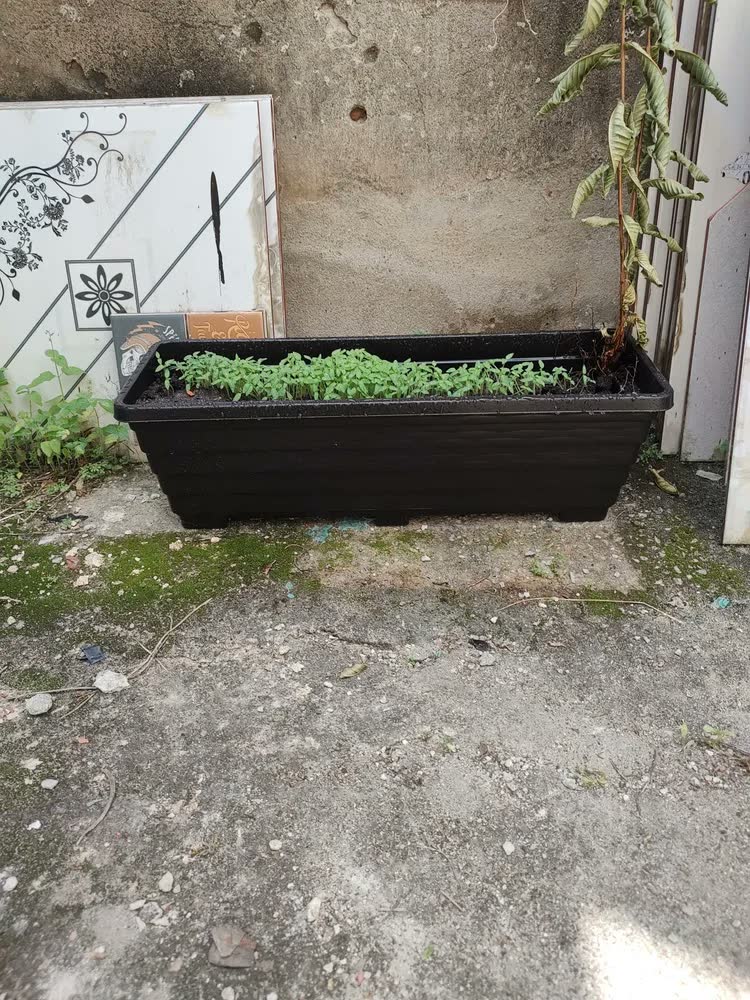 foto de Floreira De Chão 60cm Vaso Jardineira Grande Plantas E Horta Cor Preto